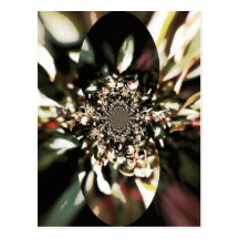 Fuchsia 'Marlies de Keijzer' Post Cards