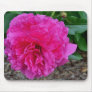 Fuchsia Peony Mousepad
