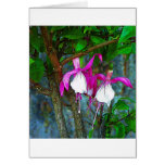Fuchsia Pink cards