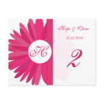 Fuchsia Pink Gerber Daisy Table Number Cards postcards
