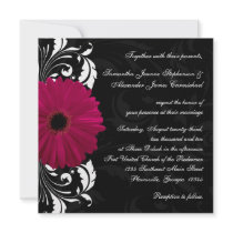 Fuchsia Scroll Gerbera Daisy w/Black and White Invites