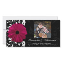 Fuchsia Scroll Gerbera Daisy w/Black and White Photo Cards