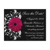 Fuchsia Scroll Gerbera Daisy w/Black and White Postcard