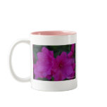 Fucshia Azaleas Mug
