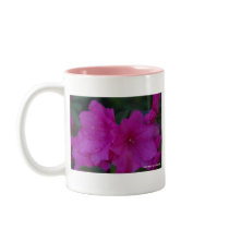 Fucshia Azaleas Mug