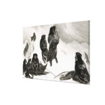 Fuegians going to trade in Zapallos Stretched Canvas Print