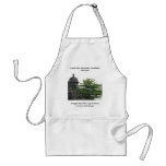 Fuerte San Fernando, Portobelo, Panama aprons