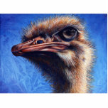Fugley Ostrich Photo Sculpture
