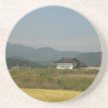 Fukushima view Coaster