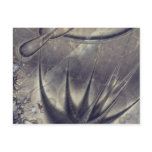 Fulgid Aloe Post Card