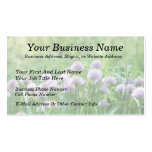 Full Bloom - Chive Flowers Business Card Templates