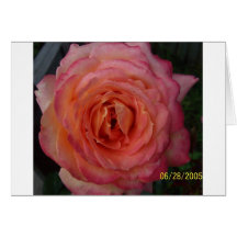 Full Bloom Greeting Card
