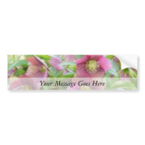Full Bloom - Hellebores! Bumper Sticker