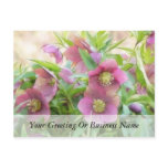 Full Bloom - Hellebores! postcards