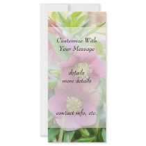 Full Bloom - Hellebores! Rack Card