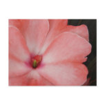 Full Bloom postcards