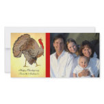 Full Colour Thanksgiving Photos photo cards