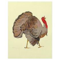 Full Colour Thanksgiving Turkey