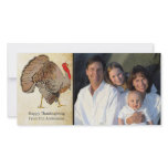 Full Colour Thanksgiving Turkey photo cards
