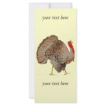 Full Colour Thanksgiving Turkey rack cards
