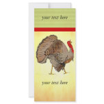 Full Colour Thanksgiving Turkey rack cards