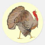 Full Colour Thanksgiving Turkey Sticker
