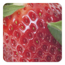 Full frame close-up of a Strawberry Square Stickers