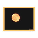 Full Harvest Moon Postcard