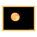 Full Harvest Moon Postcard