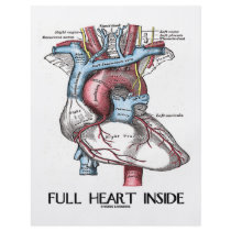 Full Heart Inside