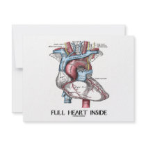 Full Heart Inside