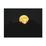 Full Moon Behind The Trees Post Cards