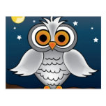 Full Moon Owl Postcard
