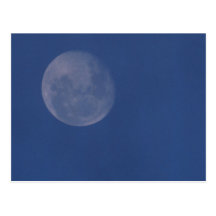 Full Moon Postcard
