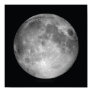Full Moon Poster Print