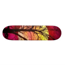 Full Moon Skateboard