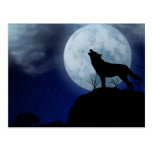 Full Moon Wolf Post Card