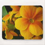 full of sunshine mouse pad
