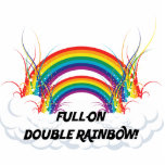 FULL-ON DOUBLE RAINBOW photo sculptures