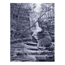 Fulmer Falls, Pennsylvania Postcard