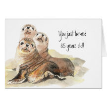Fun 85th Birthday "Don't grow up " Cute Seals Cards