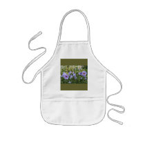 Fun Aprons