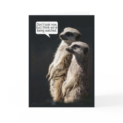 Fun Birthday Card With Meerkats - Humour