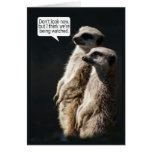 Fun Birthday Card With Meerkats - Humour