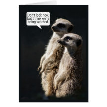 Fun Birthday Card With Meerkats - Humour