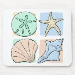 Fun Colourful Shells