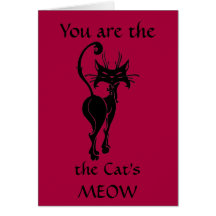 Fun Flirty Valentines Day Card