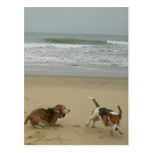 Fun on the beach postcard