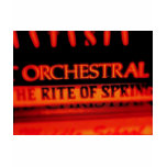 Fun Orchestra Music Gifts! t-shirts
