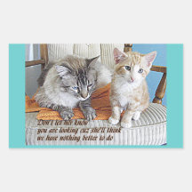 Fun staring at girls cat Stickers